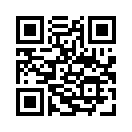 QR CODE 337