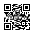 QR CODE 344