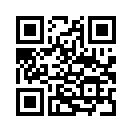 QR CODE 42