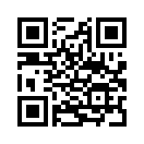 QR CODE 53