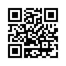 QR CODE 31