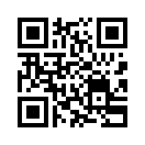 QR CODE 31