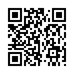 QR CODE 31