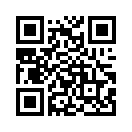 QR CODE 31