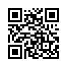 QR CODE 42