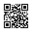QR CODE 53