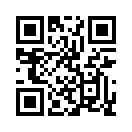 QR CODE 316