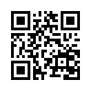QR CODE 317