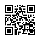 QR CODE 336