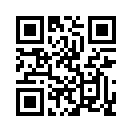 QR CODE 383
