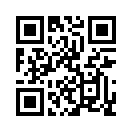 QR CODE 395