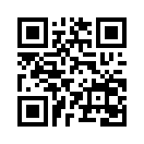 QR CODE 397