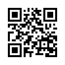QR CODE 417