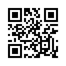 QR CODE 461