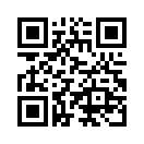 QR CODE 32