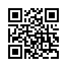 QR CODE 734
