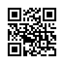 QR CODE 856