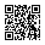 QR CODE 45