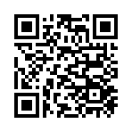 QR CODE 61