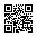 QR CODE 110