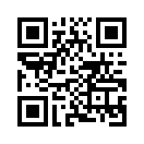 QR CODE 133