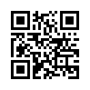 QR CODE 31