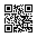 QR CODE 42