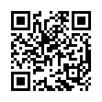 QR CODE 17