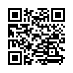 QR CODE 31