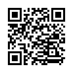 QR CODE 391