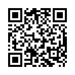 QR CODE 501