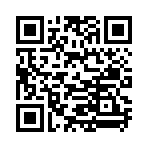 QR CODE 538