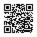 QR CODE 691