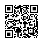 QR CODE 737