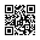 QR CODE 1491