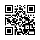QR CODE 50