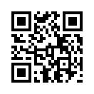 QR CODE 53