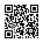 QR CODE 17