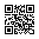 QR CODE 110