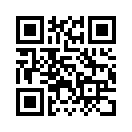 QR CODE 115