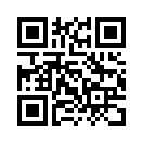 QR CODE 133