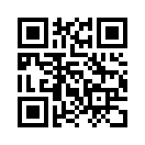 QR CODE 231