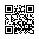QR CODE 31