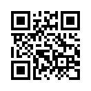 QR CODE 41