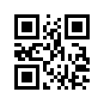 QR CODE 538