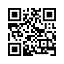 QR CODE 31