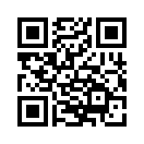 QR CODE 110