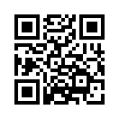 QR CODE 113