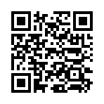 QR CODE 25
