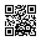 QR CODE 29